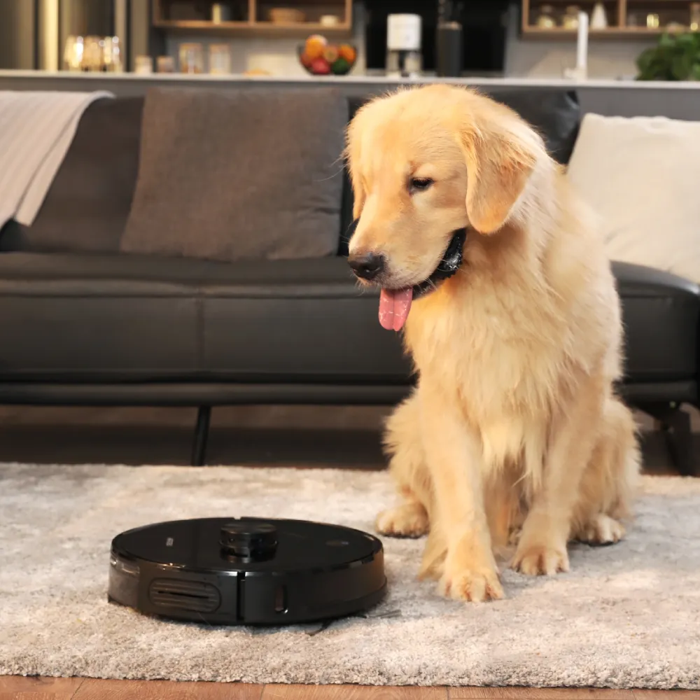 AIRROBO T10  | 2 in 1 Robot Vacuum and Mop | Self Emptying
